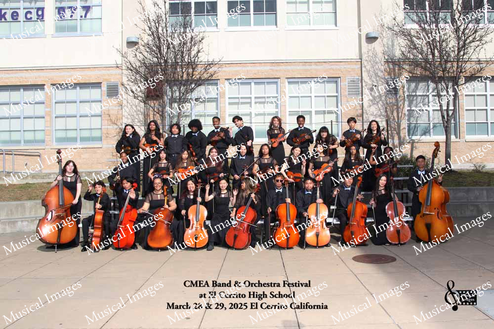 Musical Images